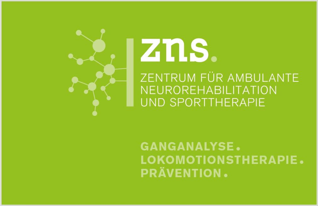 ZNS Logo